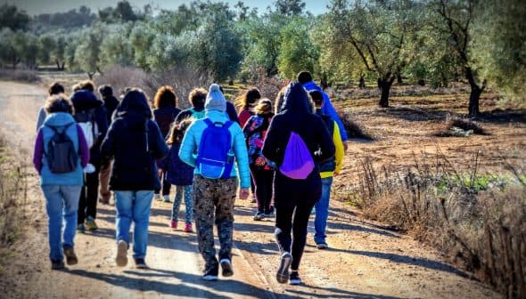 A group of people walking along a dirt path in an olive grove, wearing winter clothing and backpacks. - Olive Oil Times