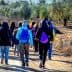 A group of people walking along a dirt path in an olive grove, wearing winter clothing and backpacks. - Olive Oil Times