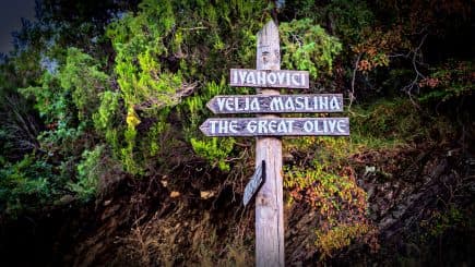 Wooden signpost with directional arrows pointing to Iyanovici, Velia Maslina, and The Great Olive. - Olive Oil Times