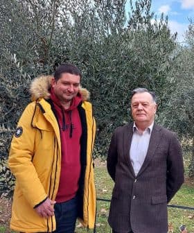 Two men posing for a photo in an olive grove with olive trees in the background. - Olive Oil Times