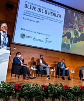 Speaker presenting at the Yale Symposium on Olive Oil and Health with an audience seated in front. - Olive Oil Times