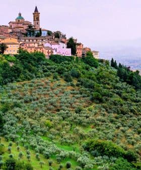 A hilltop village with colorful buildings surrounded by olive trees and rolling hills. - Olive Oil Times