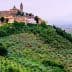 A hilltop village with colorful buildings surrounded by olive trees and rolling hills. - Olive Oil Times