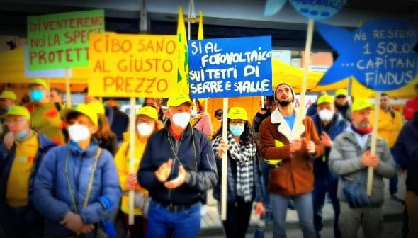 Group of protesters wearing yellow hats and holding signs at a public demonstration. - Olive Oil Times