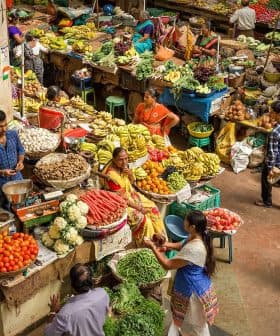 A vibrant market scene filled with various fresh fruits and vegetables on display at stalls. - Olive Oil Times