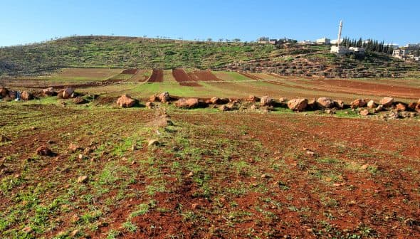 View of agricultural fields with brown soil and green grass, featuring rocky terrain in the foreground. - Olive Oil Times