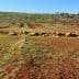 View of agricultural fields with brown soil and green grass, featuring rocky terrain in the foreground. - Olive Oil Times