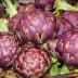 A basket filled with fresh purple artichokes, showcasing their rounded shape and green leaves. - Olive Oil Times