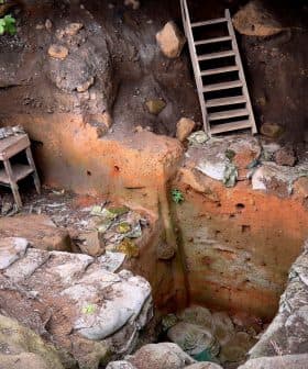 Excavated pit showing a wooden ladder and stone walls with visible earth and rocks. - Olive Oil Times