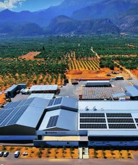 Aerial view of a large olive oil production facility surrounded by olive groves and mountains. - Olive Oil Times