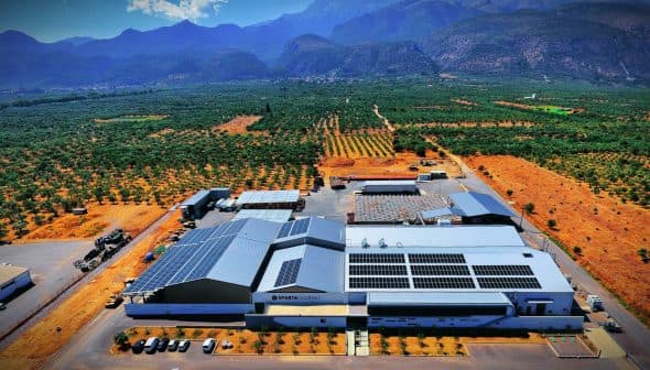 Aerial view of a large olive oil production facility surrounded by olive groves and mountains. - Olive Oil Times