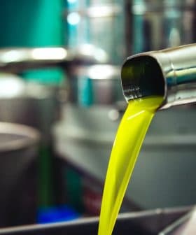 Fresh olive oil pouring from a metal spout into a container in a production facility. - Olive Oil Times