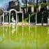 A reflective green pool surrounded by ancient Roman columns and statues in a garden setting. - Olive Oil Times