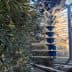 Mechanical olive harvesting equipment positioned among olive trees in an orchard. - Olive Oil Times