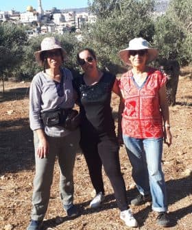 Three individuals standing together in an olive grove, wearing hats and casual clothing. - Olive Oil Times