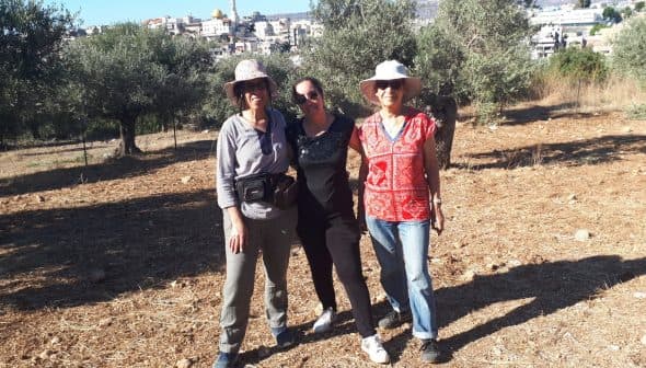 Three individuals standing together in an olive grove, wearing hats and casual clothing. - Olive Oil Times