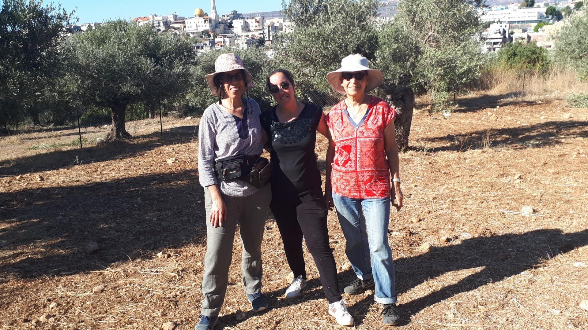 Three individuals standing together in an olive grove, wearing hats and casual clothing. - Olive Oil Times