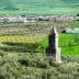 A historic tower stands amidst olive groves and green fields in a rural landscape. - Olive Oil Times
