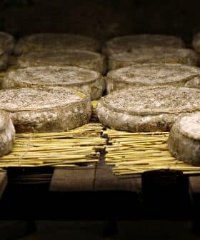 Several rounds of cheese resting on straw matting in a storage area. - Olive Oil Times