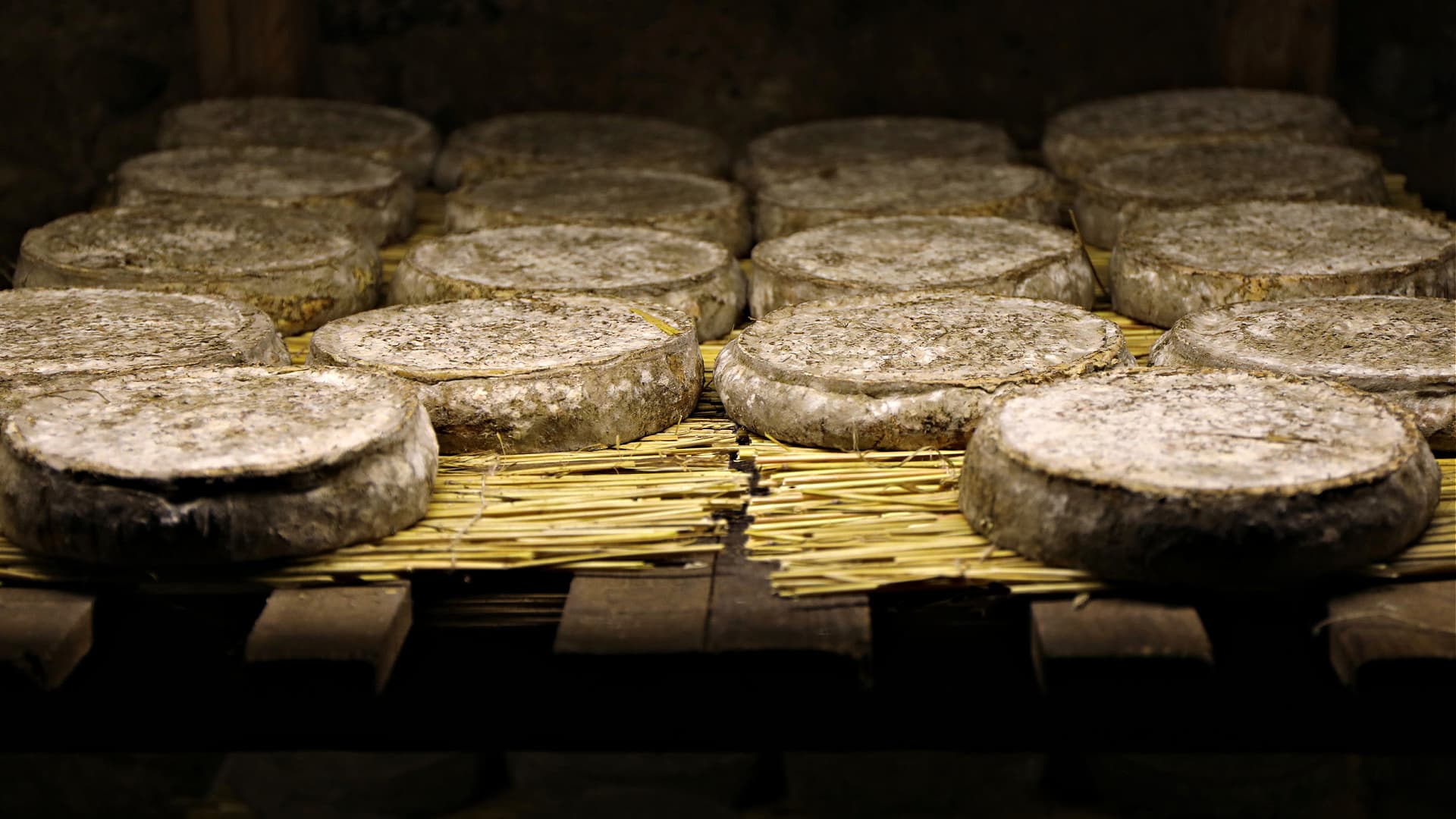 Several rounds of cheese resting on straw matting in a storage area. - Olive Oil Times