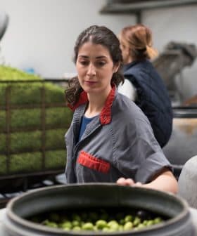 Woman sorting olives in a production facility with large containers in the background. - Olive Oil Times