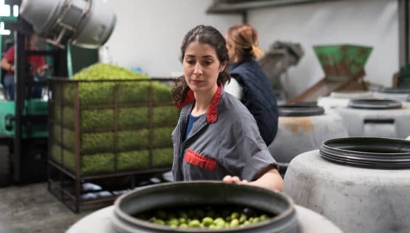 Woman sorting olives in a production facility with large containers in the background. - Olive Oil Times