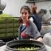 Woman sorting olives in a production facility with large containers in the background. - Olive Oil Times