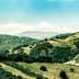 Lush green hills with patches of trees and distant mountains under a clear sky. - Olive Oil Times