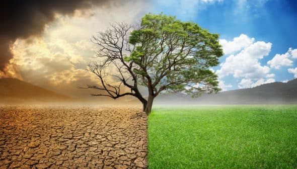 A split image showing a barren landscape on one side and a green, lush landscape on the other with a tree in the center. - Olive Oil Times