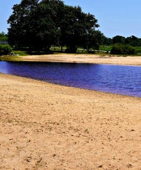 A small body of calm water bordered by a sandy area and sparse vegetation. - Olive Oil Times
