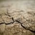 Close-up view of cracked dry soil surface with visible texture and patterns. - Olive Oil Times