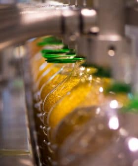 Row of bottles filled with olive oil on a production line with green caps. - Olive Oil Times