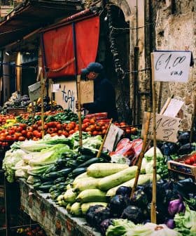Market stall displaying various vegetables and fruits with price signs in a bustling market setting. - Olive Oil Times