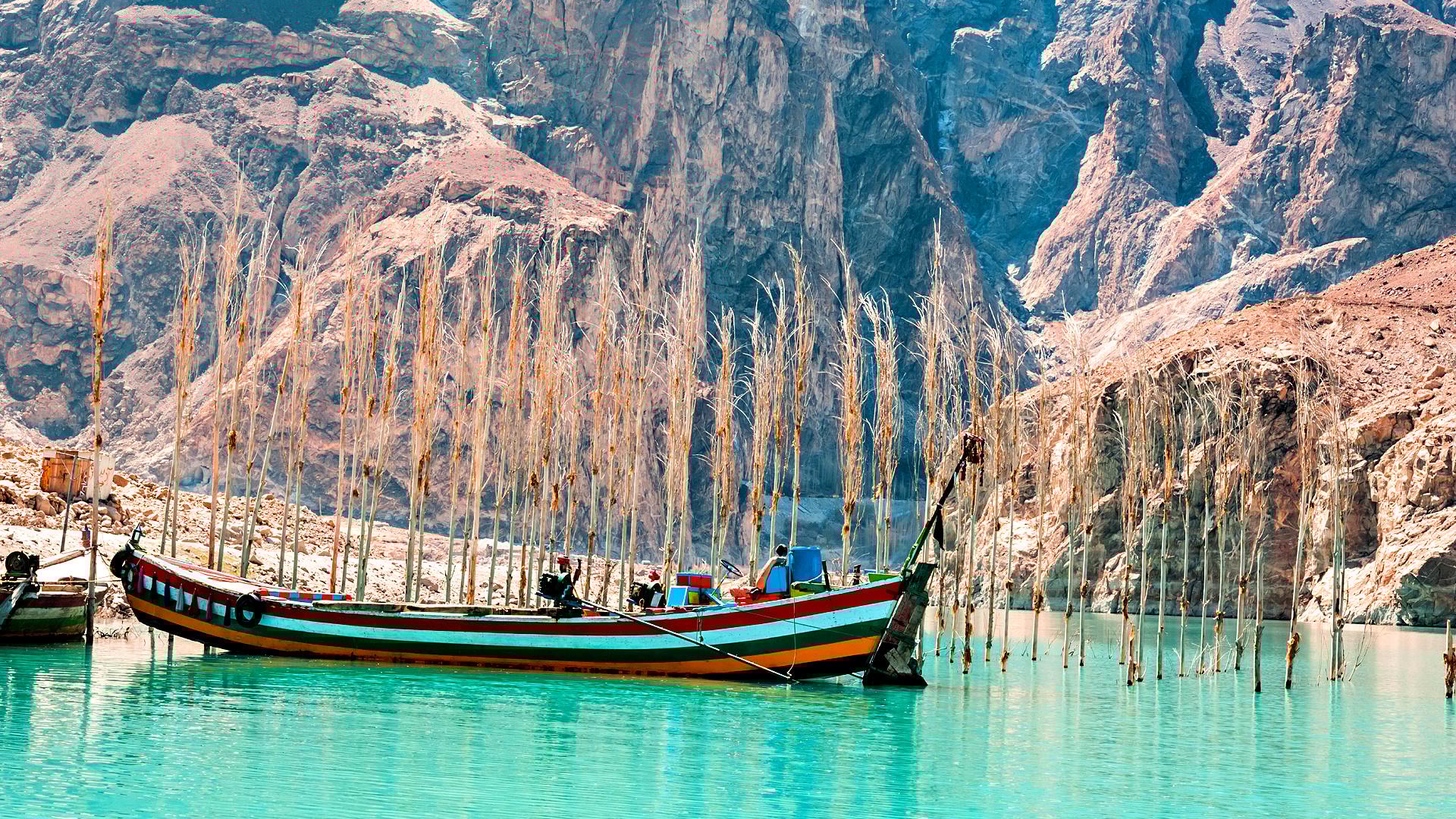 A colorful fishing boat anchored in turquoise water with tall, bare trees in the background. - Olive Oil Times