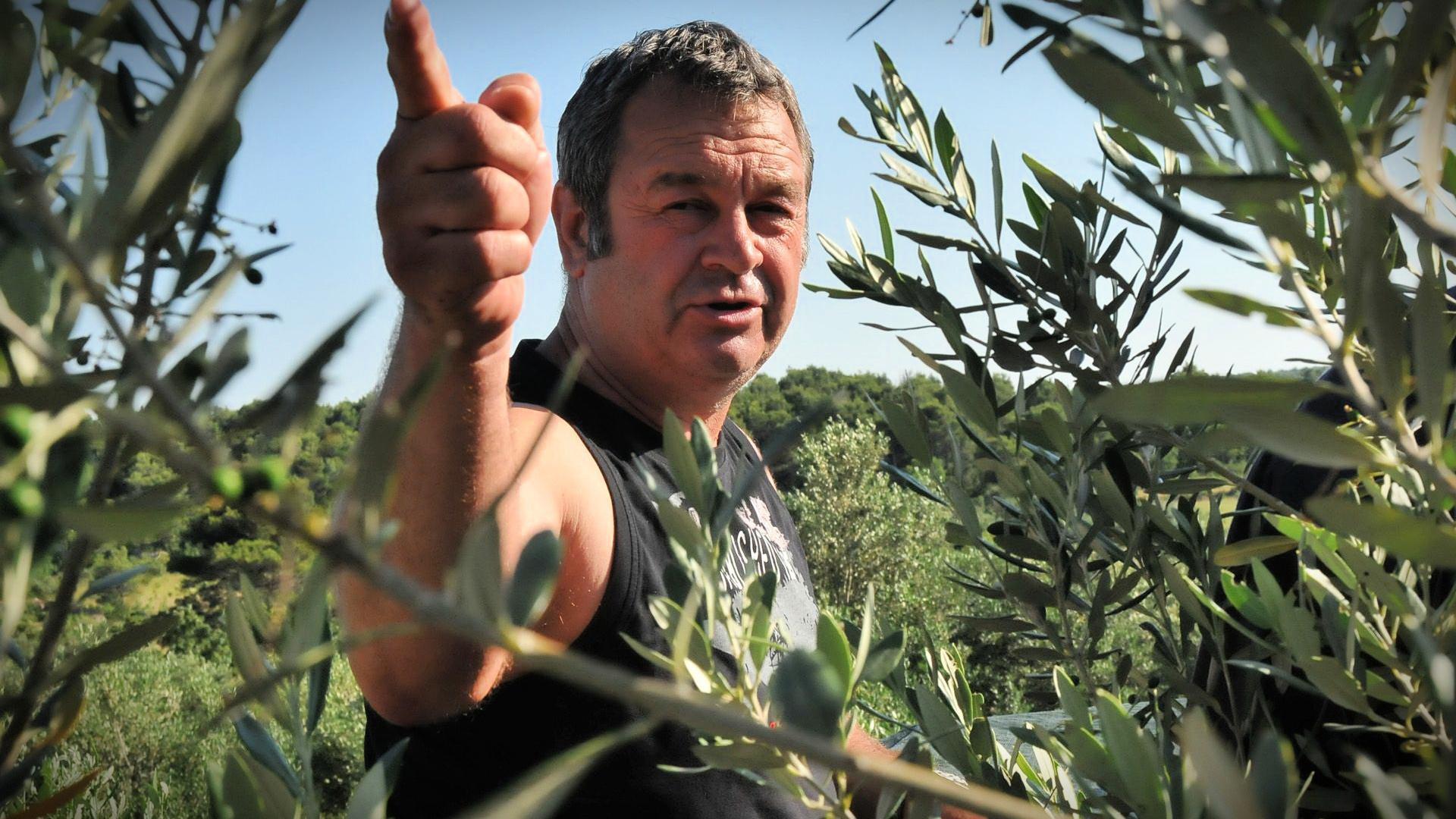 Man gesturing while standing among olive trees in an olive grove. - Olive Oil Times