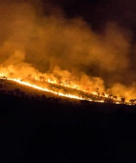 A hillside engulfed in flames during a wildfire, with smoke billowing into the night sky. - Olive Oil Times