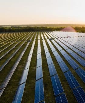 Aerial view of solar panels arranged in rows in a field during sunset. - Olive Oil Times
