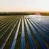Aerial view of solar panels arranged in rows in a field during sunset. - Olive Oil Times