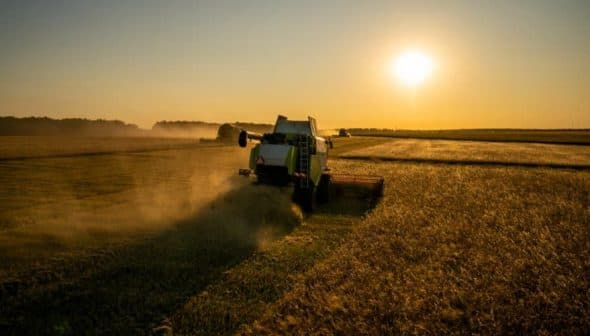 A harvesting machine working in a field during sunset, with dust rising in the air. - Olive Oil Times