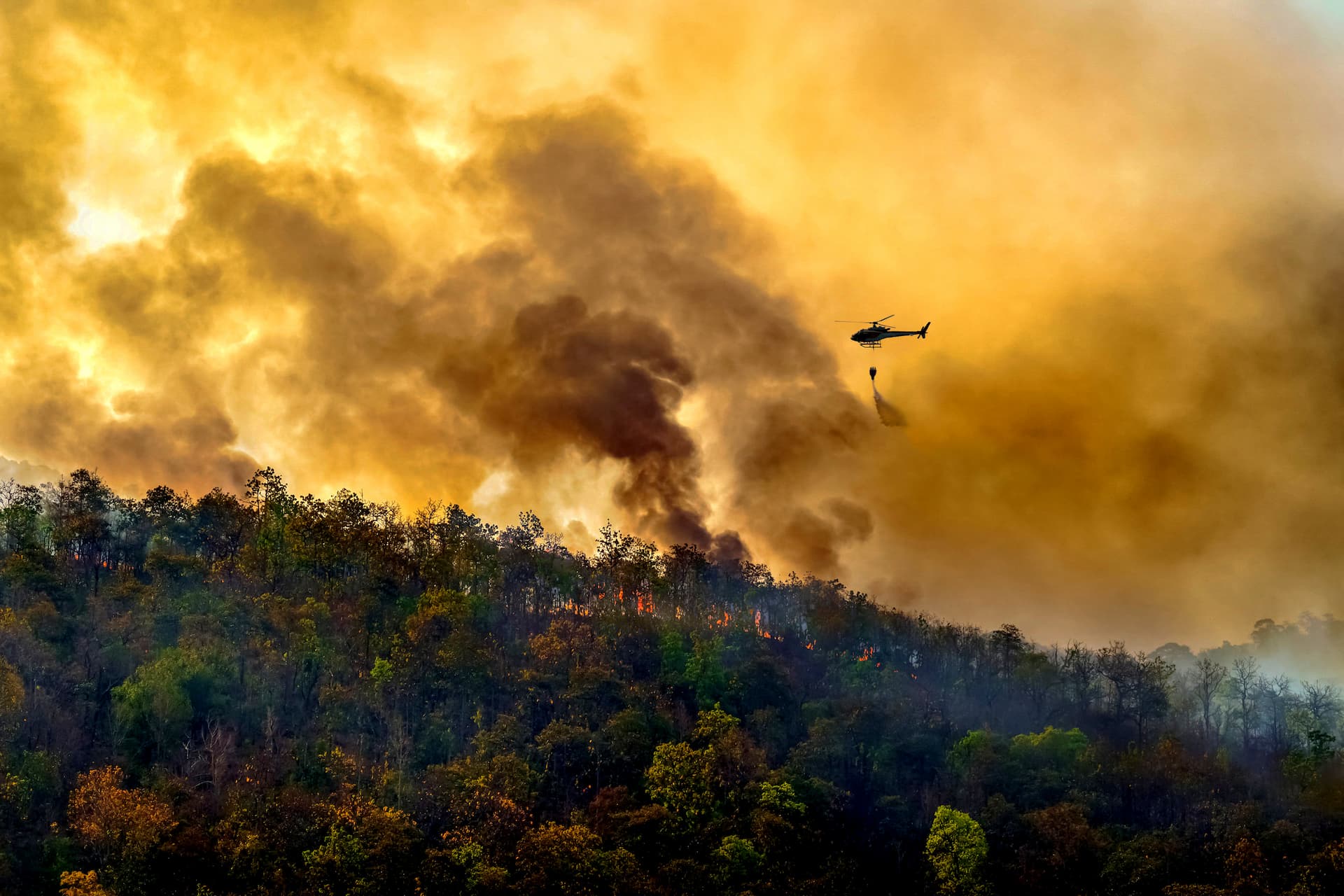 Helicopter dropping water on a forest fire with smoke and flames visible in the background. - Olive Oil Times