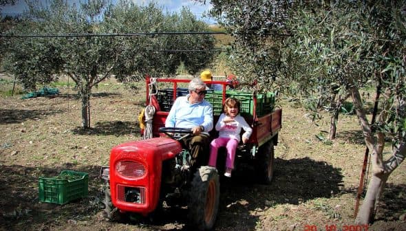 An adult and a child sitting on a red tractor in an olive grove with trees in the background. - Olive Oil Times