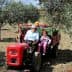 An adult and a child sitting on a red tractor in an olive grove with trees in the background. - Olive Oil Times