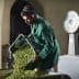 Man wearing headphones pouring olives from a basket into a container in an olive oil facility. - Olive Oil Times