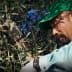 A man wearing a green cap and gloves harvesting olives from an olive tree. - Olive Oil Times