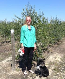 Woman wearing a green shirt and black pants standing with a black dog in an olive grove. - Olive Oil Times