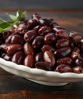 A white bowl filled with a variety of dark olives, garnished with a sprig of olive leaves. - Olive Oil Times