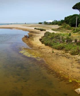 A riverbank scene featuring a calm waterway bordered by vegetation and sandy areas. - Olive Oil Times