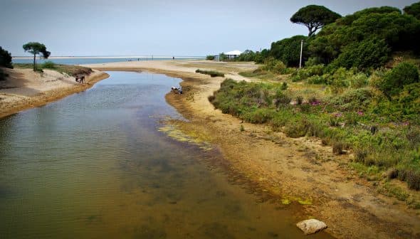 A riverbank scene featuring a calm waterway bordered by vegetation and sandy areas. - Olive Oil Times