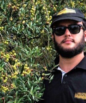 Man wearing sunglasses and a black cap standing next to an olive tree with green olives. - Olive Oil Times