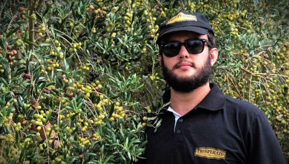 Man wearing sunglasses and a black cap standing next to an olive tree with green olives. - Olive Oil Times